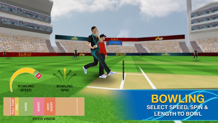 Cricket Multiplayer screenshot-3