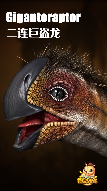 二连巨盗龙-袋鼠跳跳