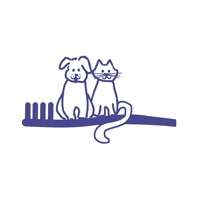 Veterinary Dentist sur PC