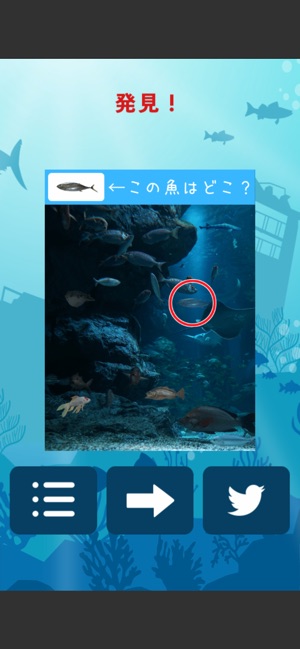 【15分クリア】世界！さかな発見！(圖3)-速報App