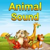 Animal Sound Ringtones