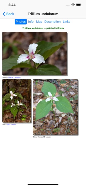 New England Wildflowers(圖3)-速報App