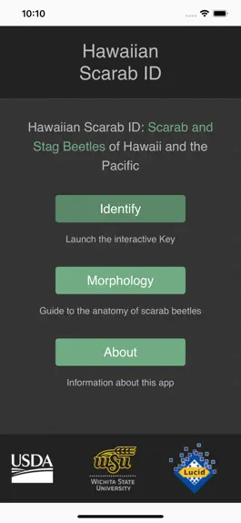 Game screenshot Hawaiian Scarab ID mod apk