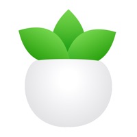 Plant Daddy — Water Reminders Application Similaire