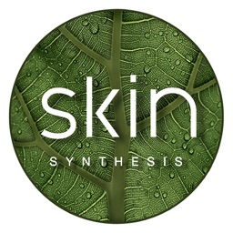 Skin Synthesis