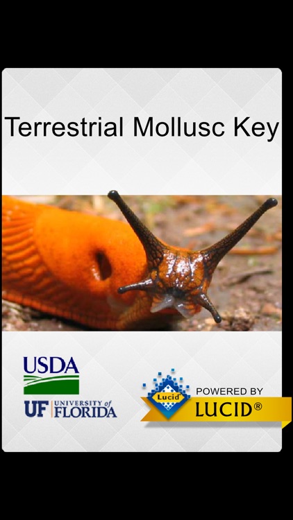 Terrestrial Mollusc Key