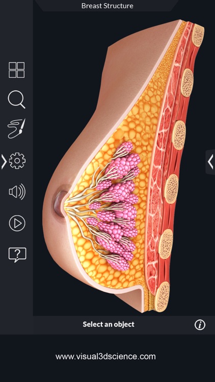 My Organs Anatomy screenshot-7