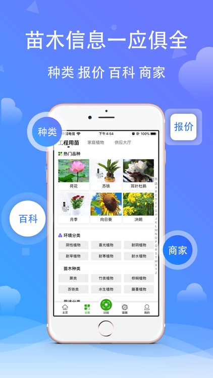 苗木之家 - 打造最美阳台
