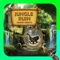 Jungle Ruin is a game that contains game sequences of a jungle