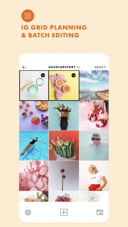 A Color Story screenshot-6
