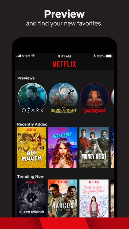 Netflix screenshot-3