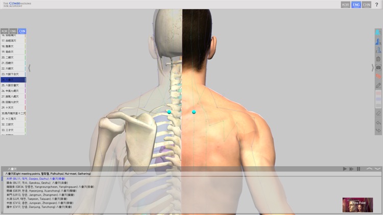 The Combinations For Acupoint