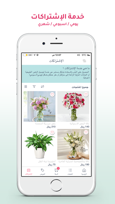 تولبان screenshot 4