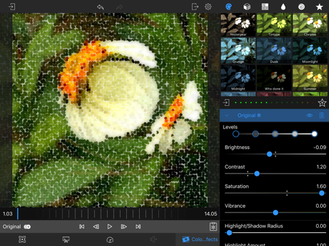 LumaFX screenshot 3