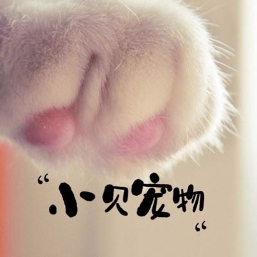 小贝宠物-pet stickers