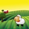 In our game you will have to face the fact that the sheep irresistibly attracted to cabbage