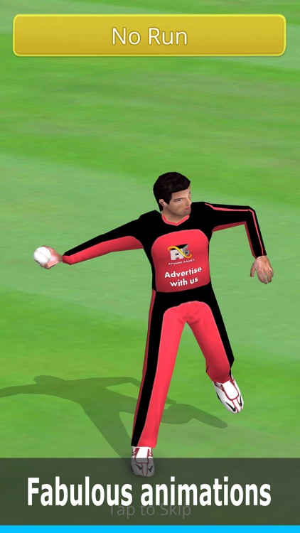 Smashing Cricket: cricket game screenshot-3