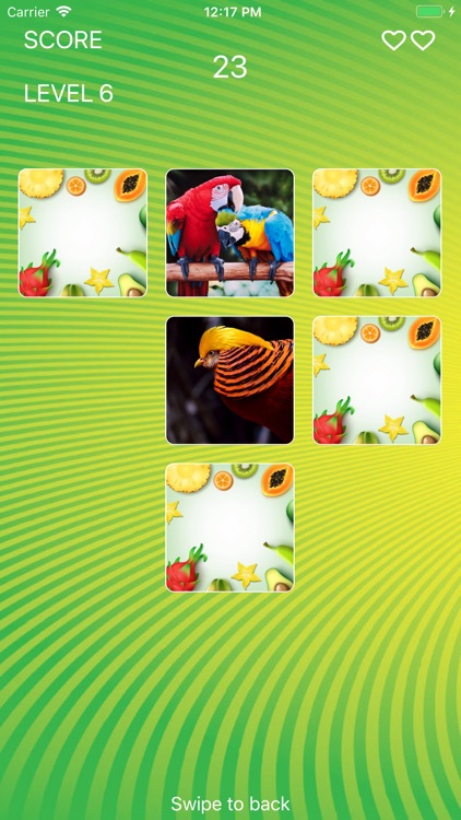 Parrot World Memory Trainer screenshot-5
