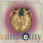 sAnatomy