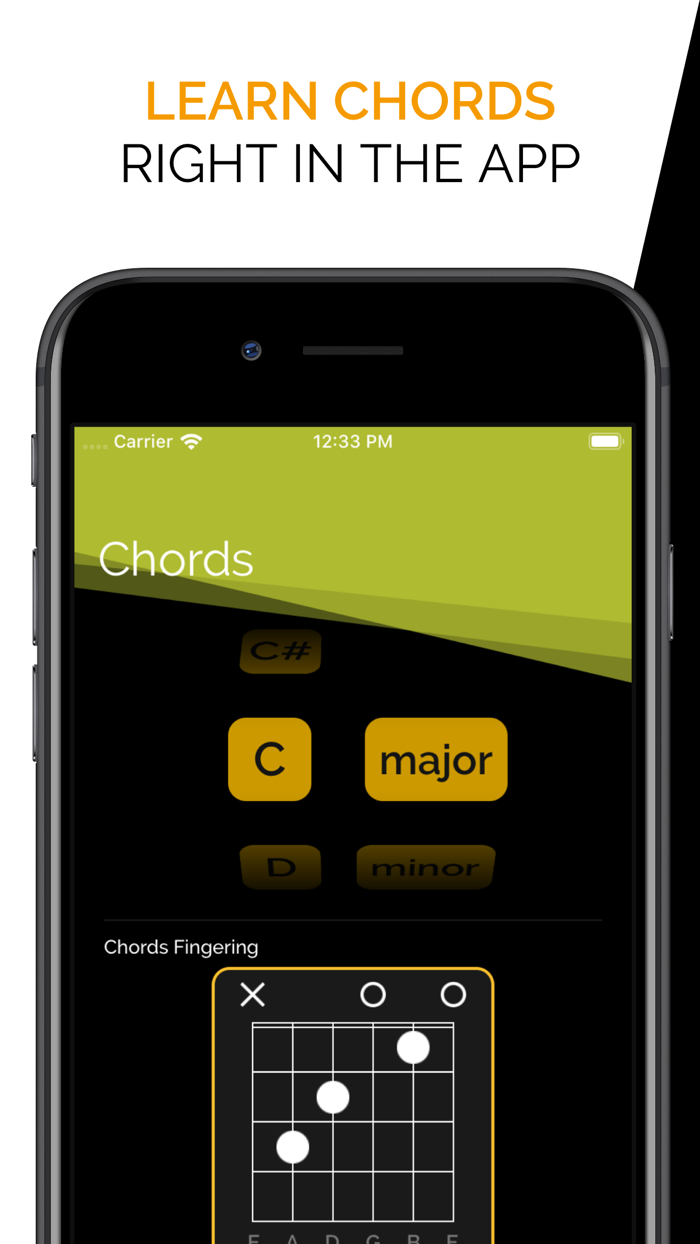 Guitar Tuner Pro-Perfect Pitch