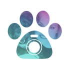 Top 20 Photo & Video Apps Like Petcam - Pet Camera - Best Alternatives