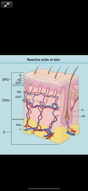 Fitzpatrick's Dermatology, 9/E(圖7)-速報App