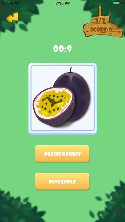 KingOfFurits screenshot-7