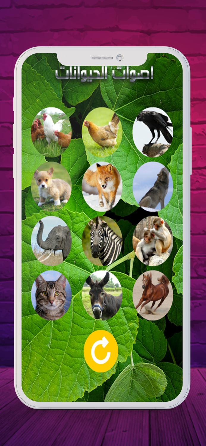 2020 اصوات الحيوانات