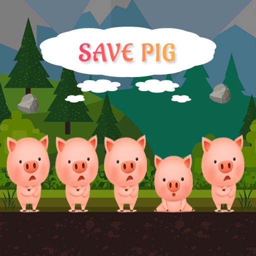 Save  PIG