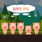 Save PIG is the Amazing Game Application, In this Game the Stones targeted the PIG