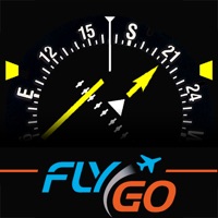 FlyGo HSI (IFR) Instructor  PC 용