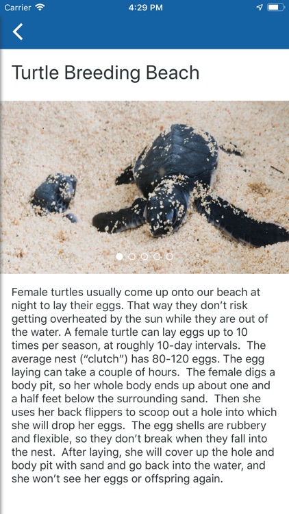 Cayman Turtle Centre App screenshot-4