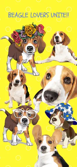Game screenshot Beagle Fun Emoji Stickers mod apk