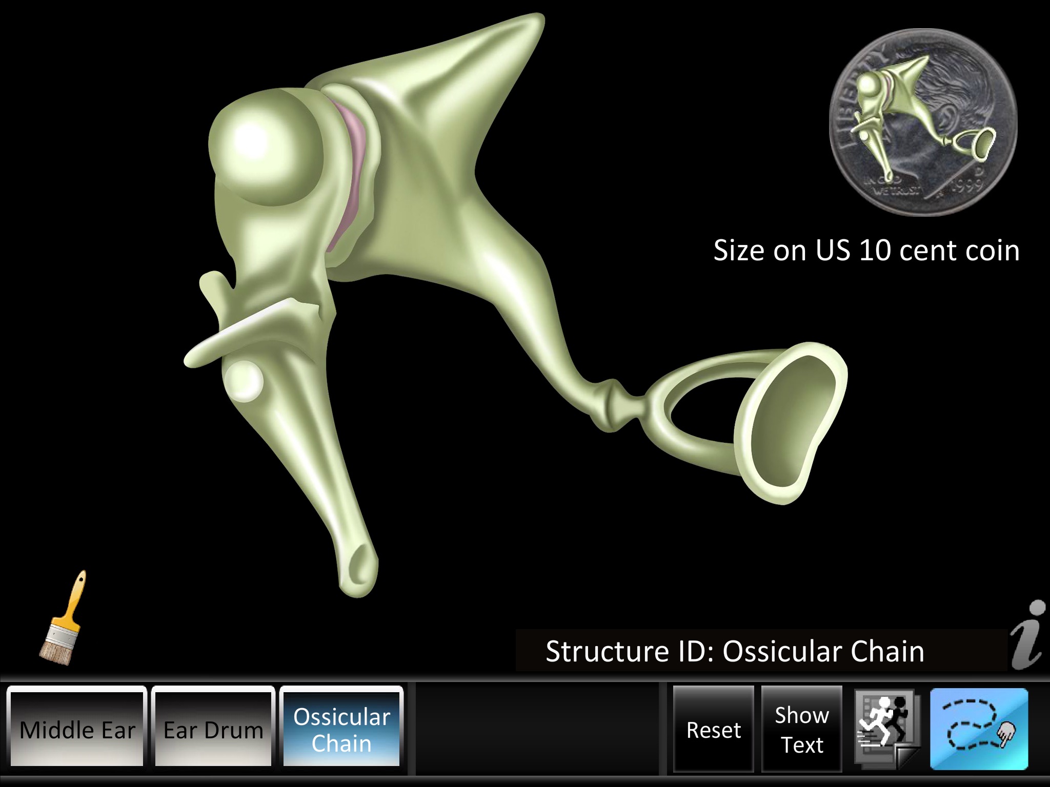 Middle Ear ID screenshot 3