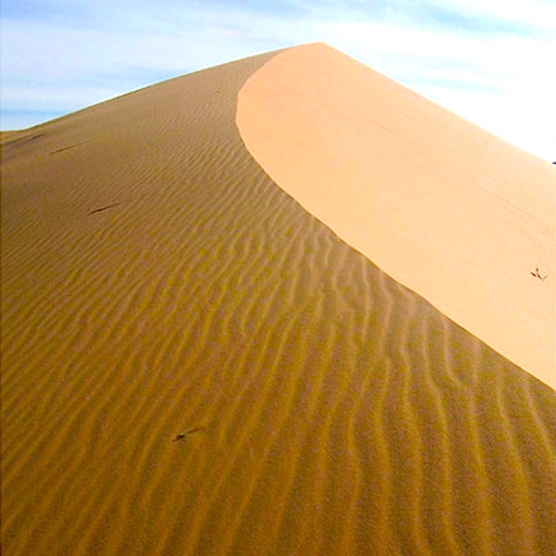 Sand Calendar & Day Planner