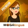 MosaLingua : cours de langues