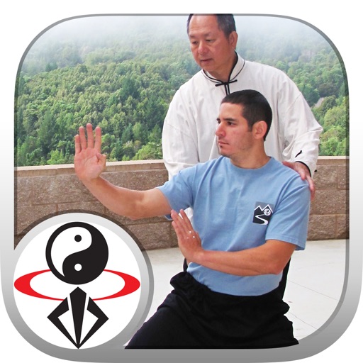 Kung Fu Body Workout Icon