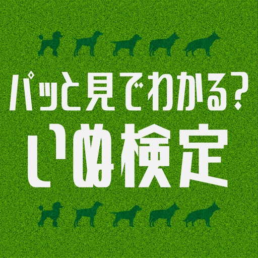 パッと見でわかる？いぬ検定