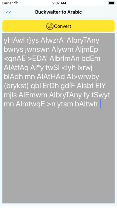 arabic converter screenshot 4