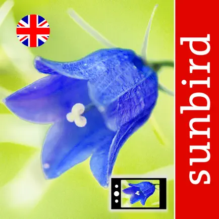 Wild Flower Id British Isles Cheats