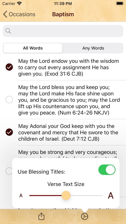 The App of Blessings screenshot-4