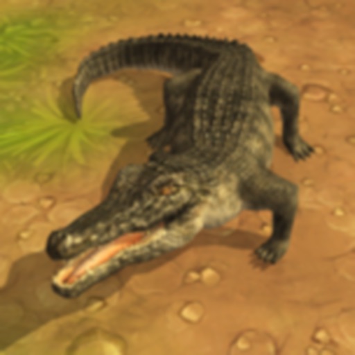 Crocodile Attack 3D Icon