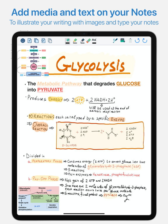 QuickNotes Xのおすすめ画像6