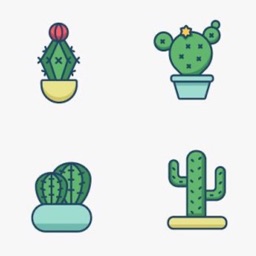 Get to know the Succulents