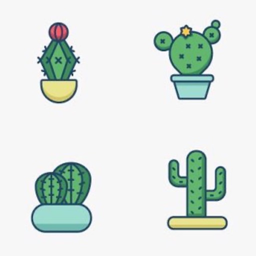 Get to know the Succulents