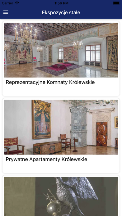 Wawel screenshot 4