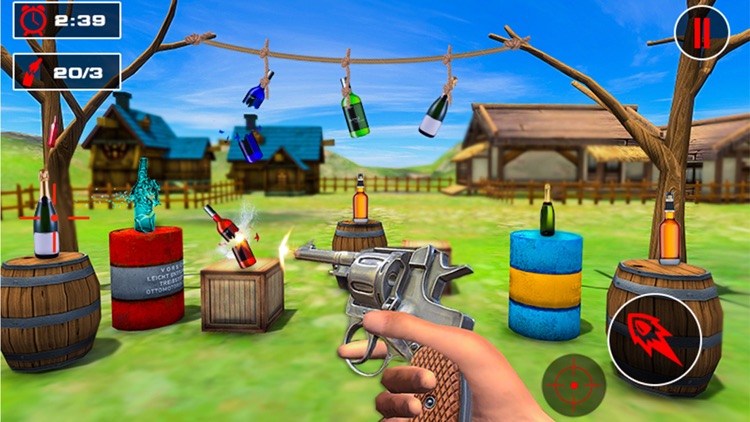 Bottle Flip Target Practice