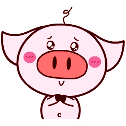 Pink Piggy 02