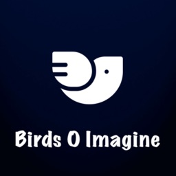 Birds O Imagine