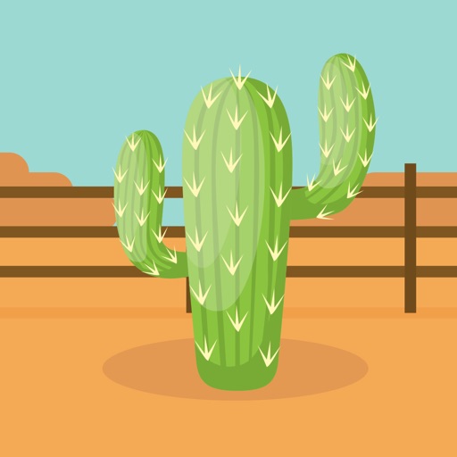 Planting Cactus